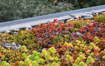 the cost of Stonymarsh green roof installation