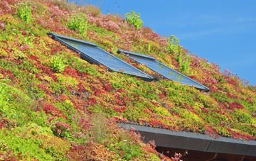 Stonymarsh living roof systems