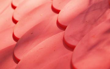 Stonymarsh plastic roof costs